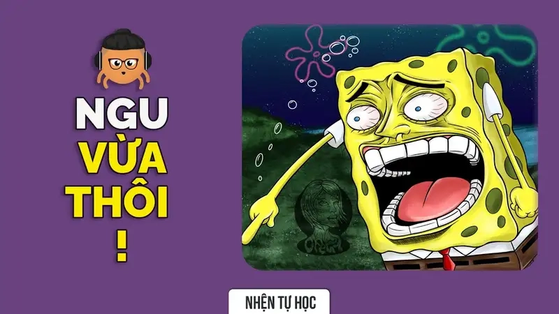 Meme ngu dốt dùng khi hết cách chịu đựng