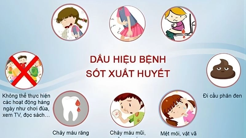 Biểu hiện sốc sốt xuất huyết – tình trạng nguy kịch nhất