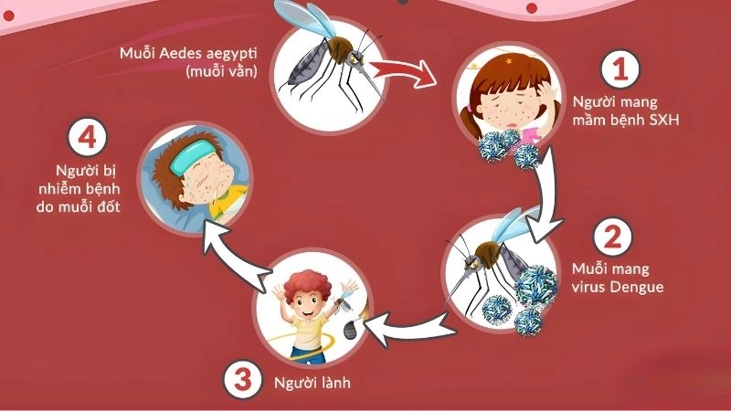 Biểu hiện sốc sốt xuất huyết – tình trạng nguy kịch nhất