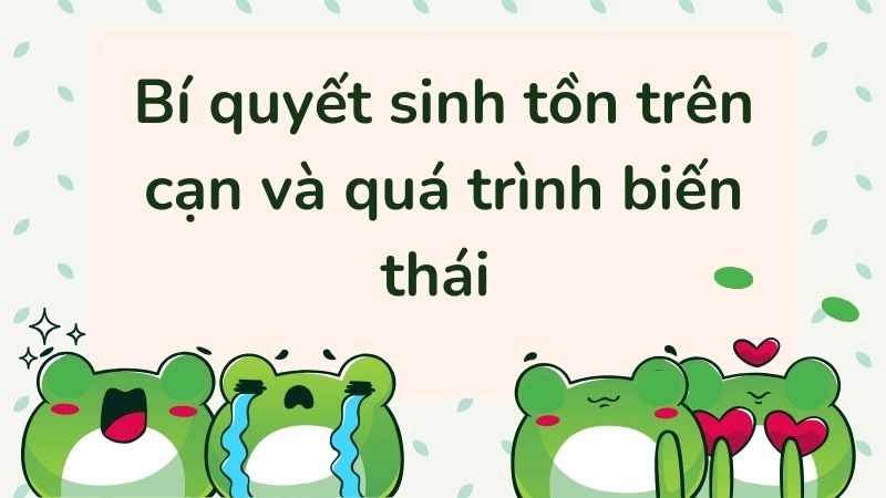 Bí quyết sinh tồn trên cạn và quá trình biến thái 