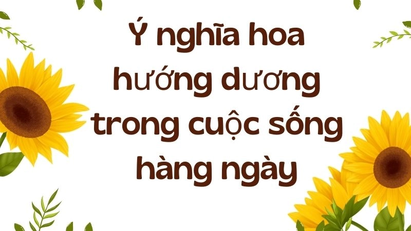 Ý nghĩa hoa hướng dương trong cuộc sống hàng ngày