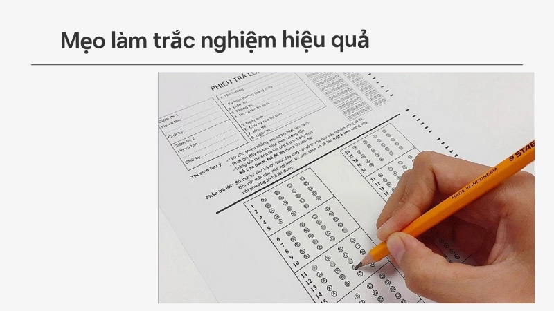Mẹo làm bài thi trắc nghiệm đạt điểm cao